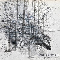 Blackest Crow - Wild Common