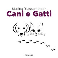 Tecniche di Rilassamento - Musica Rilassante