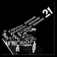 There's Something Strange Tonight - Trisomie 21