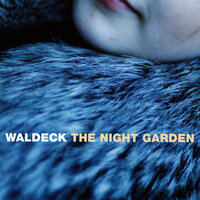 Morning Light - Waldeck