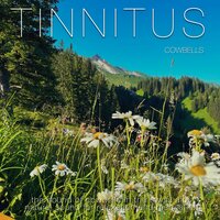 Swiss Moutains - Tinnitus