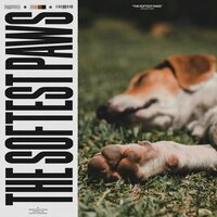 Chasing the Void - Sleep Dog