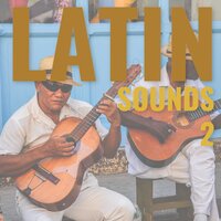 Fly - Latin Island