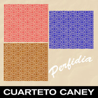 Noche De Luna - Cuarteto Caney
