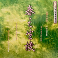 纯爱 - 深广轻音乐团