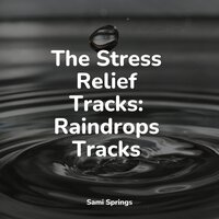 Rainforest Nature Ambience - Ambient Music Therapy & Fresh Water Sounds for Inner Peace & Sample Rain Library