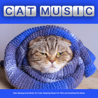 Instrumental Music For Pets While You're Away - Cat Music & Music For Pets & Music For Cats