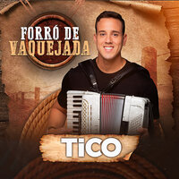 Cavalo Lampião - Tico
