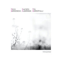 Mr. Hopkins - Rita Marcotulli & Marco Bardoscia & Quartetto Alborada
