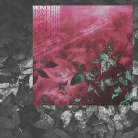 Brute Force - CRASPORE