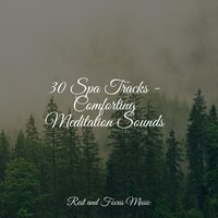 Dreams of You - Classical Study Music & Happy Baby Lullaby Collection & Music to Relax in Free Time