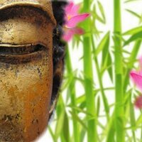 Wild Horses - Asian Zen Meditation