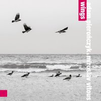 I'm Flying! I'm Flying! - Adam Pieronczyk & Miroslav Vitous