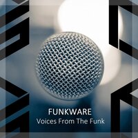 Soulminer - Funkware & Albert Tempel