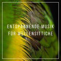 Musik zum Aufwachen - Tiefenentspannung Atmospheres