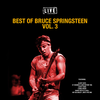 Hey Bo Didley,She's The One - Bruce Springsteen