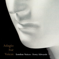 Rodrigo: Concierto de Aranjuez - 2. Adagio (Arr. Runswick) - Michael Conn & London Voices & Terry Edwards