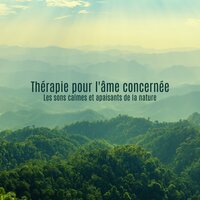 Irréel - Nature Académie