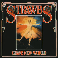 The Flower And The Young Man - Strawbs