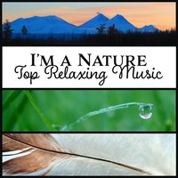 Zen Garden - Chill Step Masters