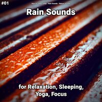 Exceptional Rain Sounds - Rain for Deep Sleep & Rain Sounds & Nature Sounds