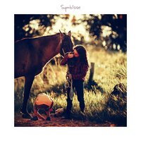 Taran - Musique Japonaise Ensemble & Spa Musique Massage & Bruit De La Nature