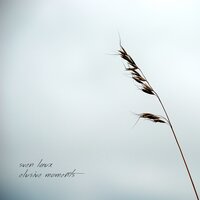 Thank You, Goodbye - Sven Laux
