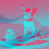 Elegant Ambience for Anxious Puppies - Relaxing Dog Music Beats