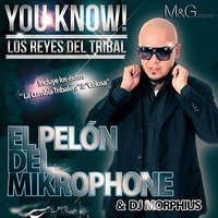 La Astuta (feat. DJ Cobra, Kike Play & Nikki X) - El Pelón Del Mikrophone & DJ Cobra & Nikki X & Kike Play