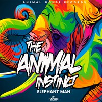 Lit - Elephant man