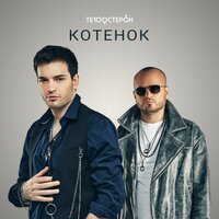 Котенок - Те100стерон