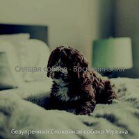 Созерцая (Милые Собаки) - безупречный Спокойная собака Музыка