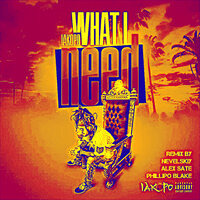 What I Need - Nevelskiy & Phillipo Blake & Iakopo & Alex Sate