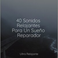 Contento De Estar - Meditar Profundamente & Entrenamiento Autógeno y Meditación Specialistas & Canciones de Cuna para Bebés Acadèmico