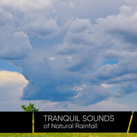 Relaxing Sounds to Help You Sleep - Tranquil Music Sounds of Nature & Tranquil Music Sounds of Nature, ,