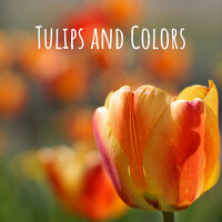 Task at Hand - Natural Samples