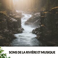 Sunset Symphony - Ruido Blanco Hart & Ocean Sounds FX & Bébé Sommeil ASMR