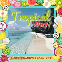 Cool Sea Reflections - Tropical Way