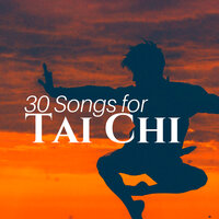 Relaxation Music - Satori Meditation