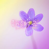 安静的清晨 - 林中意
