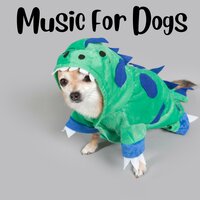 Soothing Slumber Sonata - Music for Dogs & Music for Dogs Peace & Relaxing Puppy Music & Calm Pets Music Academy