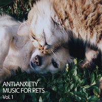 The Bites - Dog Music Club & Dog Music Waves & Music for Calming Dogs