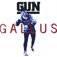 Long Road - Gun