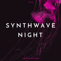 Synthwave Night - MD Dj