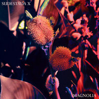 Pëtra - Sudestada X