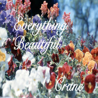 Everything Beautiful - Crane