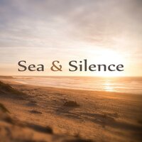 Searching Within Silence - Natural Sleep Aid Music Zone