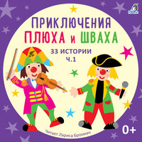 Написательная история (История 24) - Лариса Брохман & Клоун Плюх
