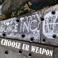 Carrots - BALANCE INC