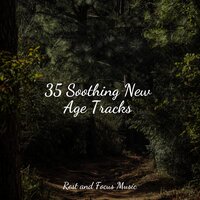 Sand on the Beach - Baby Sweet Dream & Relax Meditation Sleep & Asian Zen: Spa Music Meditation